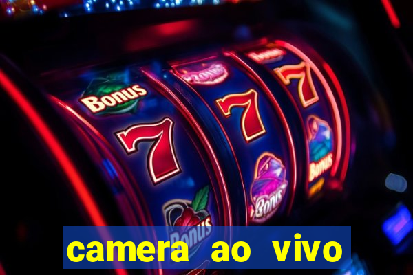 camera ao vivo terminal vila nova cachoeirinha